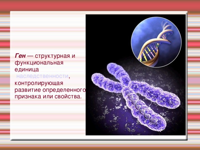 Ген является элементарной единицей. Ген является элементарной единицей