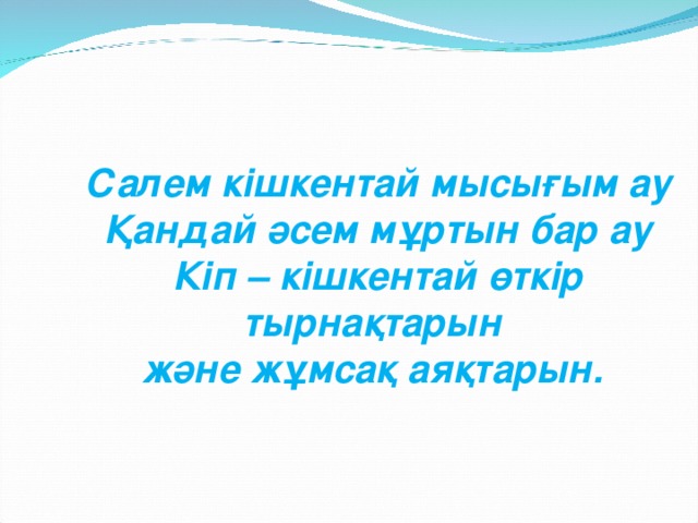 Салем кішкентай мысығым ау  Қандай әсем мұртын бар ау  Кіп – кішкентай өткір тырнақтарын және жұмсақ аяқтарын.   