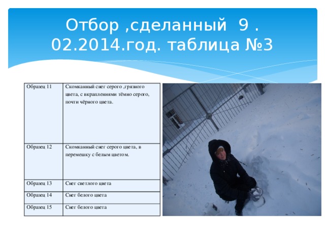 Отбор ,сделанный 9 .02.2014.год. таблица №3   Образец 11 Скомканный снег серого ,грязного цвета, с вкраплениями тёмно серого, почти чёрного цвета. Образец 12 Скомканный снег серого цвета, в перемешку с белым цветом. Образец 13 Снег светлого цвета Образец 14 Снег белого цвета Образец 15 Снег белого цвета 