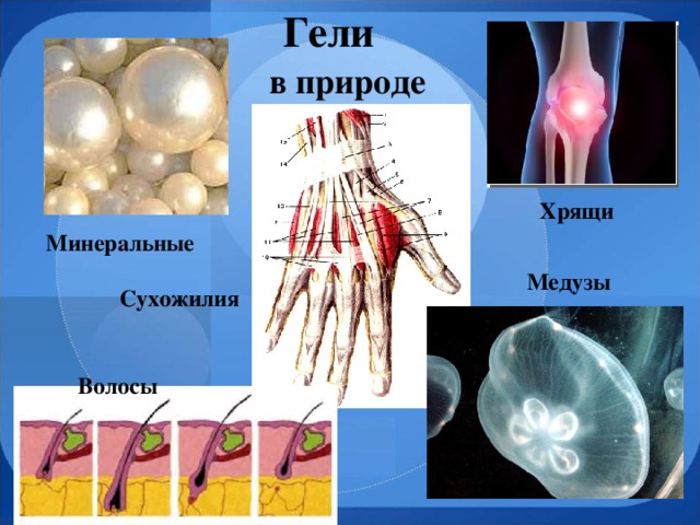 Гели  в природе Хрящи  Минеральные  Медузы  Сухожилия  Волосы