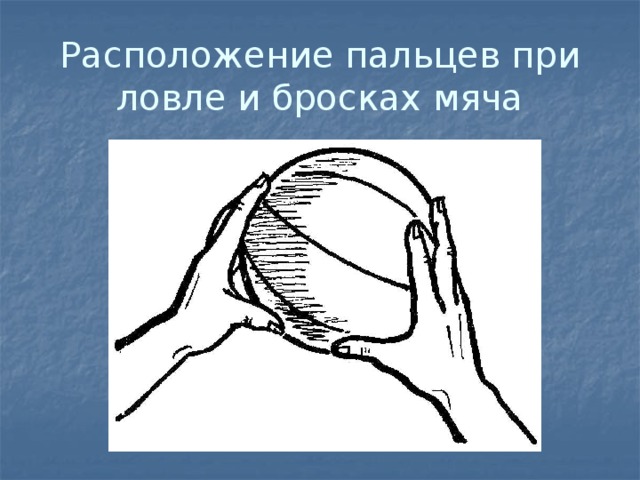 Расположение пальцев при ловле и бросках мяча 