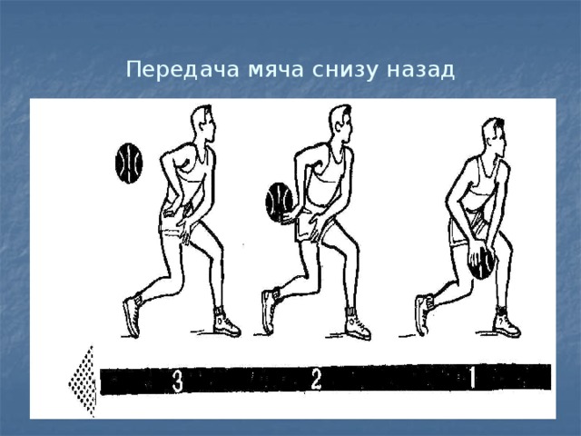 Передача мяча снизу назад 