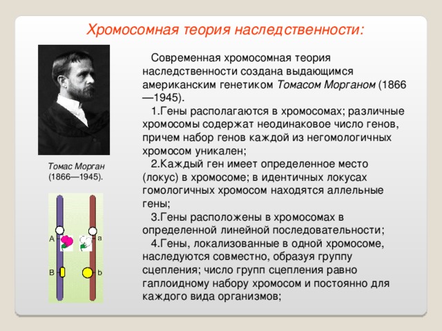 Закономерности наследования признаков - презентация, доклад, проект скачать