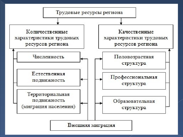 Состав трудовых ресурсов схема