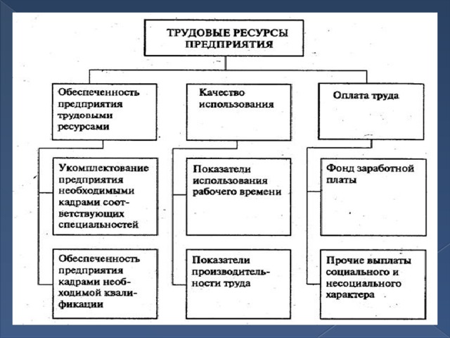 Состав трудовых ресурсов схема