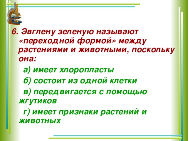 почему эвглену зеленую называют переходной формой. органоиды движения эвглены зеленой. форма эвглены зеленой. эвглену зеленую называют переходной формой поскольку она. эвглену зеленую называют переходной формой поскольку она.