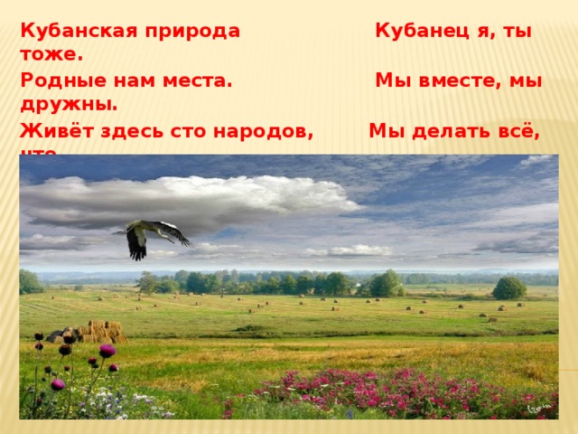 Кубанская природа Кубанец я, ты тоже. Родные нам места. Мы вместе, мы дружны. Живёт здесь сто народов, Мы делать всё, что А может больше ста. можём,  Для Родины должны! 