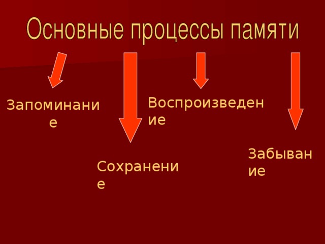 Воспроизведение Запоминание Забывание Сохранение 