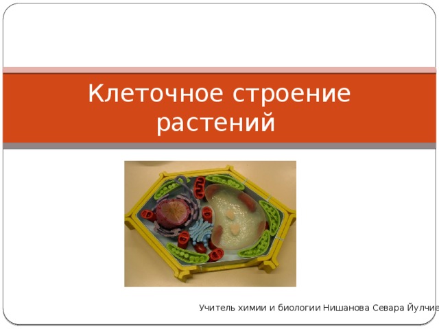 Клеточное строение растений Учитель химии и биологии Нишанова Севара Йулчиевна 