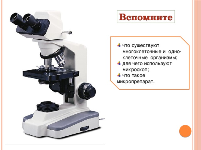 Вспомните  что существуют  многоклеточные и одно-  клеточные организмы;  для чего используют  микроскоп;  что такое микропрепарат . 