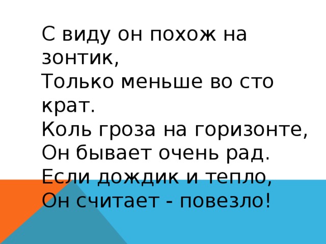 С виду он похож на зонтик,  Только меньше во сто крат.  Коль гроза на горизонте,  Он бывает очень рад.  Если дождик и тепло,  Он считает - повезло! 