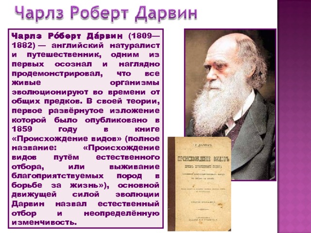 Чарлз Ро́берт Да́рвин (1809—1882) — английский натуралист и путешественник, одним из первых осознал и наглядно продемонстрировал, что все живые организмы эволюционируют во времени от общих предков. В своей теории, первое развёрнутое изложение которой было опубликовано в 1859 году в книге «Происхождение видов» (полное название: «Происхождение видов путём естественного отбора, или выживание благоприятствуемых пород в борьбе за жизнь»), основной движущей силой эволюции Дарвин назвал естественный отбор и неопределённую изменчивость. 