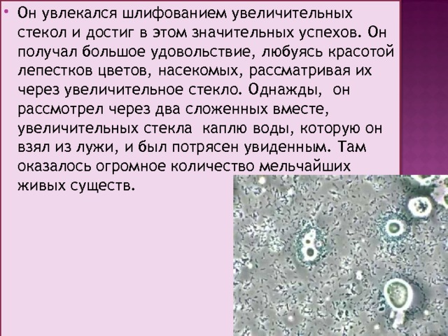 Он увлекался шлифованием увеличительных стекол и достиг в этом значительных успехов. Он получал большое удовольствие, любуясь красотой лепестков цветов, насекомых, рассматривая их через увеличительное стекло. Однажды, он рассмотрел через два сложенных вместе, увеличительных стекла каплю воды, которую он взял из лужи, и был потрясен увиденным. Там оказалось огромное количество мельчайших живых существ. 