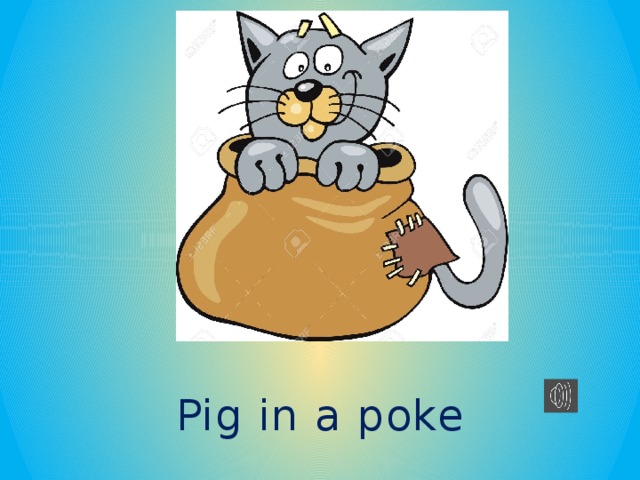 Pig in a poke