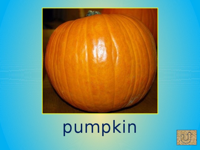 pumpkin