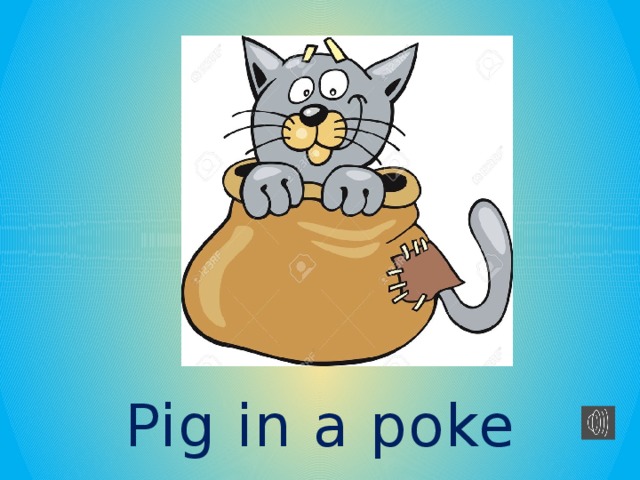 Pig in a poke