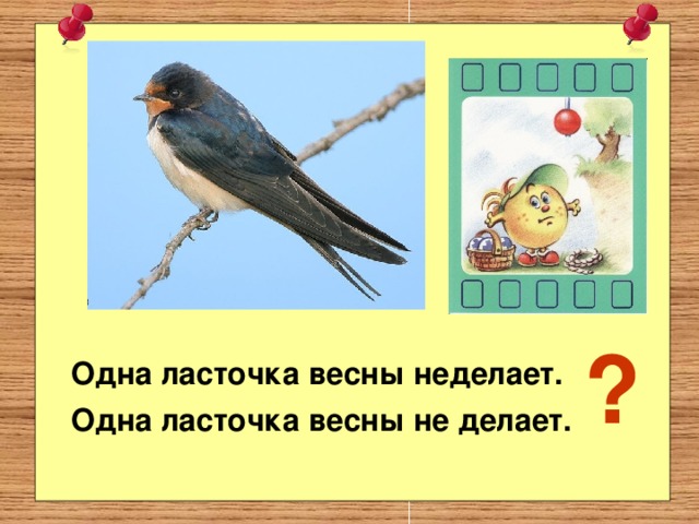 ? Одна ласточка весны неделает. Одна ласточка весны не делает.