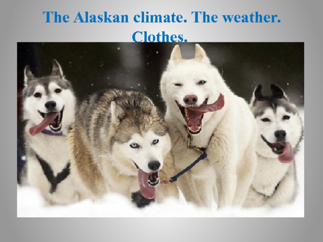 The Alaskan climate. The weather. Clothes. 