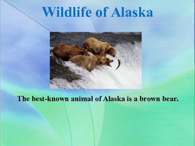 Wildlife of Alaska   The best-known animal of Alaska is a brown bear. 