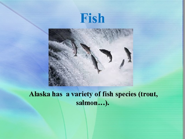 Fish Alaska has a variety of fish species (trout, salmon…). 