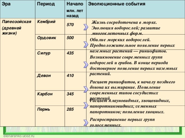 Составьте схему происхождение и эволюция высших растений