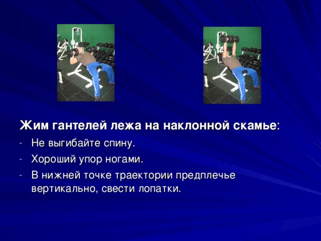 Жим гантелей лежа на наклонной скамье : Не выгибайте спину. Хороший упор ногами. В нижней точке траектории предплечье вертикально, свести лопатки. 