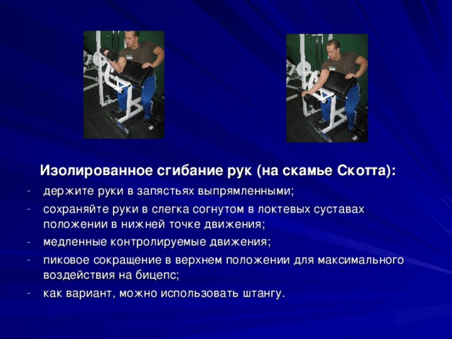  Изолированное сгибание рук (на скамье Скотта): держите руки в запястьях выпрямленными; сохраняйте руки в слегка согнутом в локтевых суставах положении в нижней точке движения; медленные контролируемые движения; пиковое сокращение в верхнем положении для максимального воздействия на бицепс; как вариант, можно использовать штангу.   