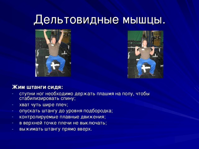 Дельтовидные мышцы. Жим штанги сидя: ступни ног необходимо держать плашмя на полу, чтобы стабилизировать спину; хват чуть шире плеч; опускать штангу до уровня подбородка; контролируемые плавные движения; в верхней точке плечи не выключать; выжимать штангу прямо вверх.  