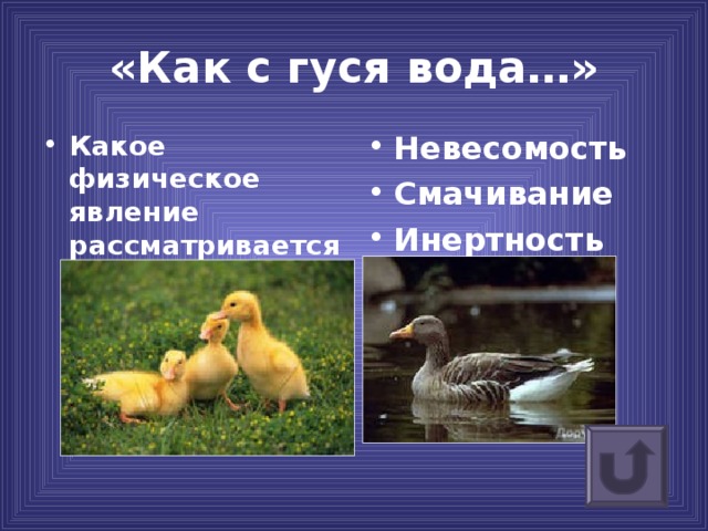 «Как с гуся вода…» Какое физическое явление рассматривается в этой пословице Невесомость Смачивание Инертность 