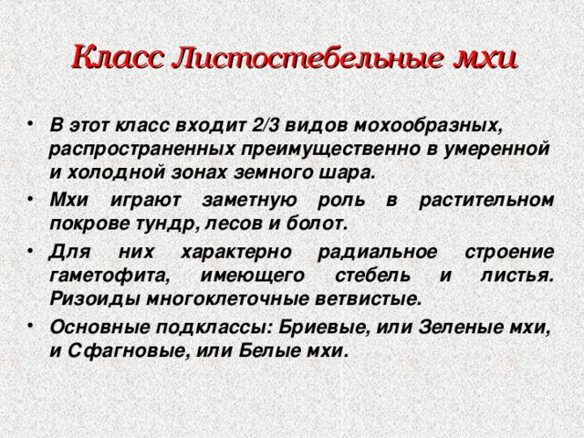 Класс Листостебельные мхи