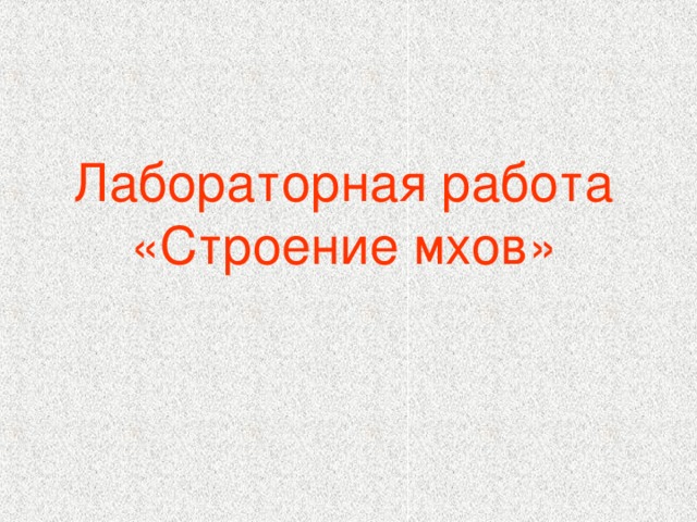 Лабораторная работа  «Строение мхов»