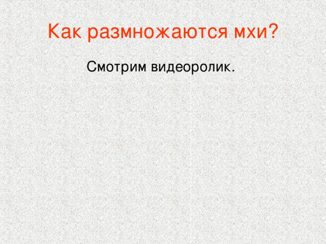 Как размножаются мхи? Смотрим видеоролик.