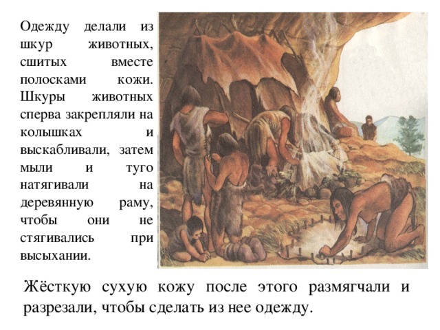 Одежда из шкур животных картинки для детей