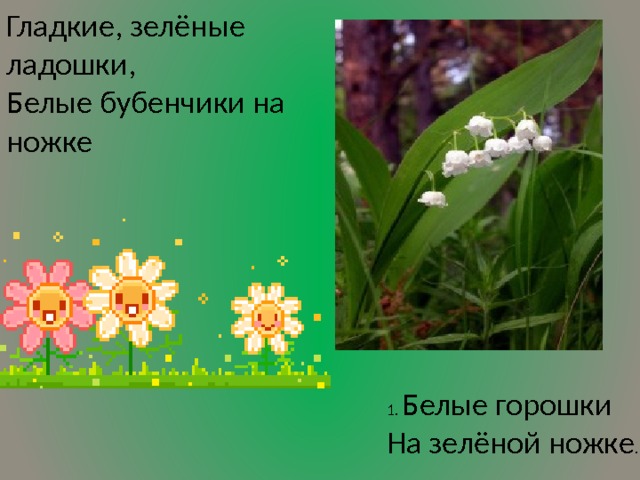 презентация Загадки цветочные