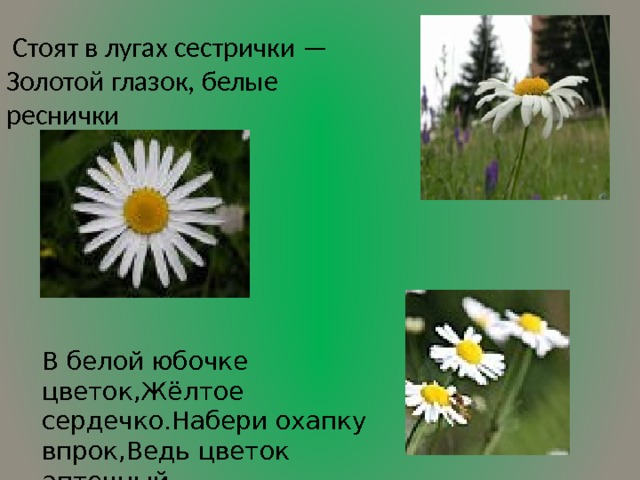 сестрички реснички