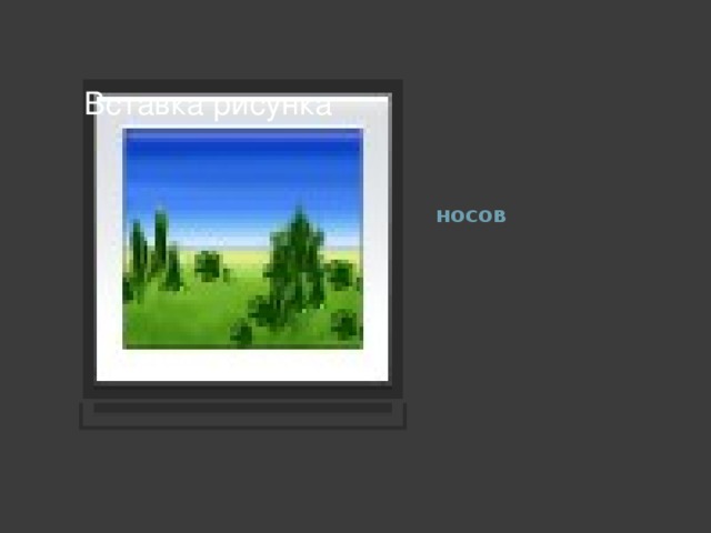 Вставка рисунка носов 