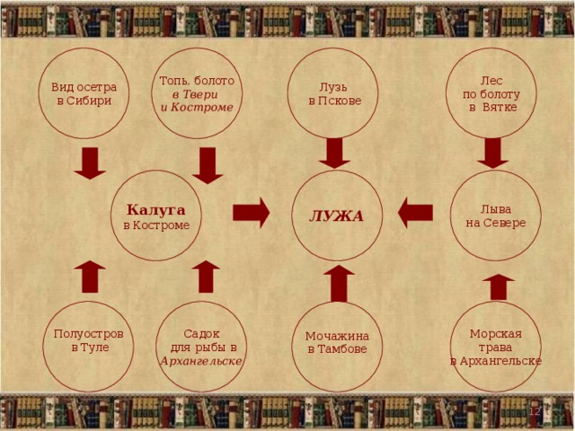 Лузь  в Пскове Топь, болото в Твери и Костроме Вид осетра в Сибири Лес по болоту  в Вятке Лыва на Севере ЛУЖА Калуга в Костроме Морская трава в Архангельске Полуостров  в Туле Садок  для рыбы в Архангельске Мочажина в Тамбове  12