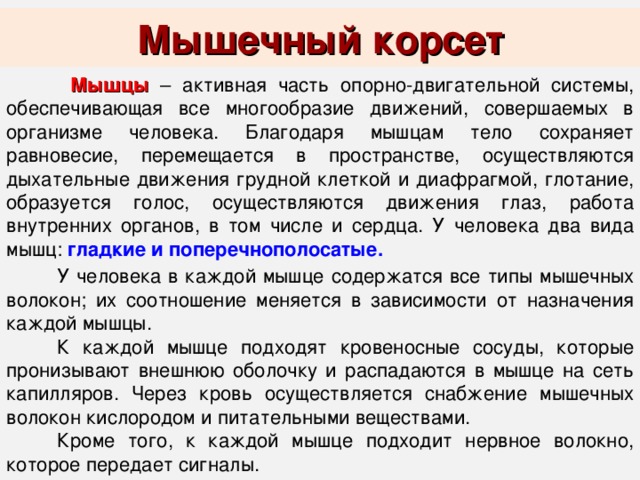 Они располагаются в стенках внутренних органов их сокращения осуществляется независимо от нашей воли