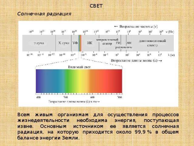 СВЕТ Солнечная радиация Всем живым организмам для осуществления процессов жизнедеятельности необходима энергия, поступающая извне. Основным источником ее является солнечная радиация, на которую приходится около 99,9 % в общем балансе энергии Земли. 