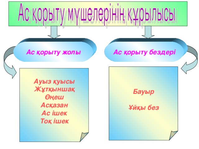 асқазан бездері