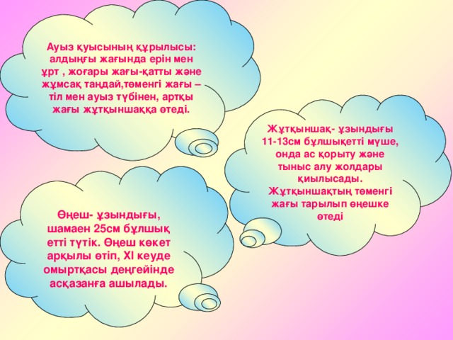 Настя Бакеевамен екі әтешпен анальный секс (орыс)