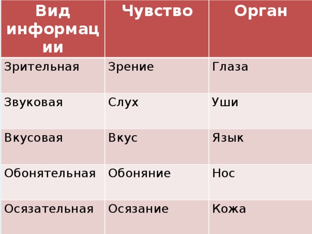 Вид информации Чувство Зрительная Орган Зрение Звуковая Вкусовая Слух Глаза Уши Вкус Обонятельная Язык Обоняние Осязательная Нос Осязание Кожа 