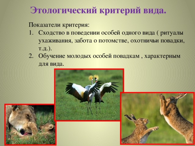 Исторический критерий вида примеры