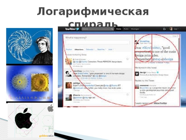 Логарифмическая спираль 