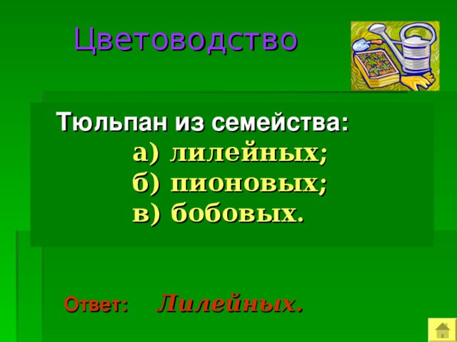  Цветоводство   Тюльпан из семейства:  а)  лилейных;  б) пионовых;  в) бобовых.  Ответ:  Лилейных.  