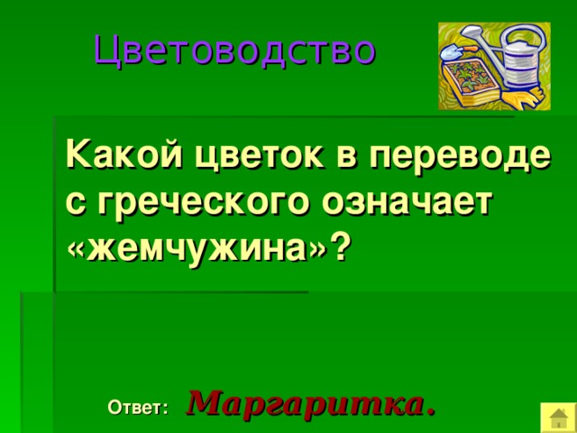  Цветоводство  Какой цветок в переводе с греческого означает «жемчужина»?  Ответ:  Маргаритка. 