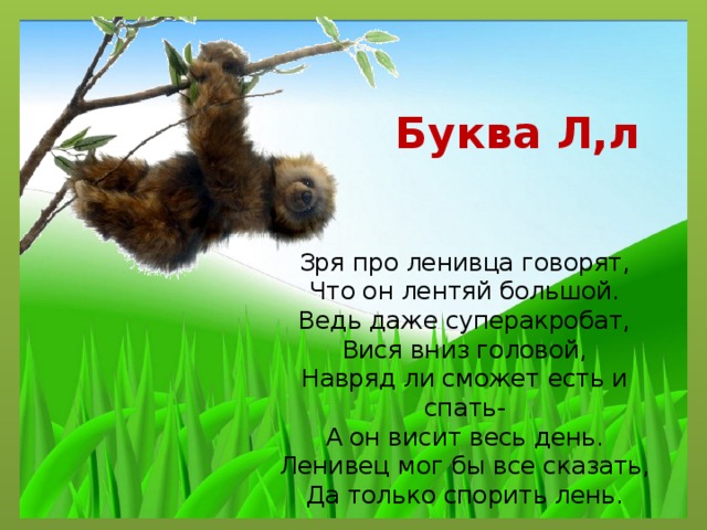 Презентация на тему ленивец