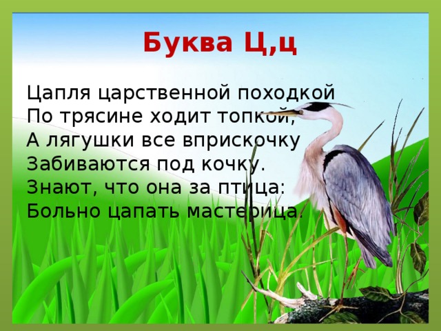 Стих Про Цаплю Для Детей Короткие