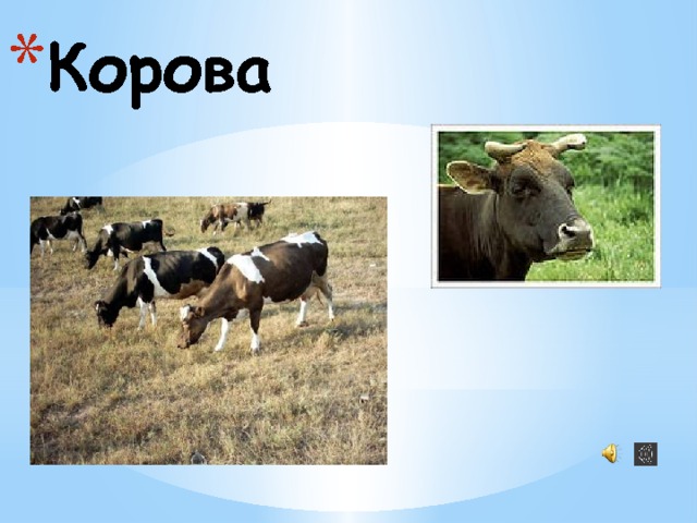 Корова 