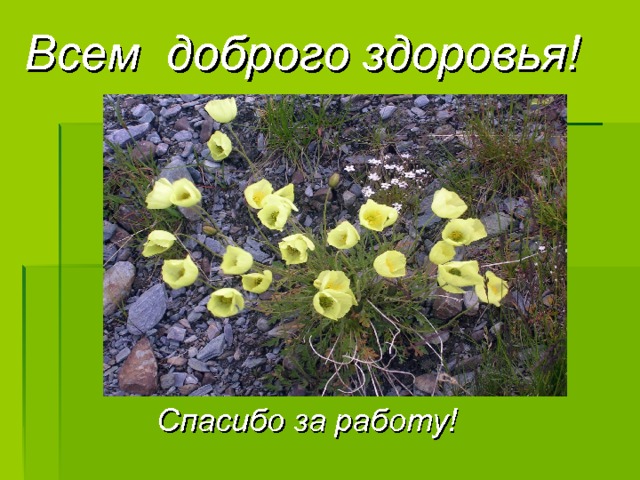 Всем доброго здоровья!   Спасибо за работу! 